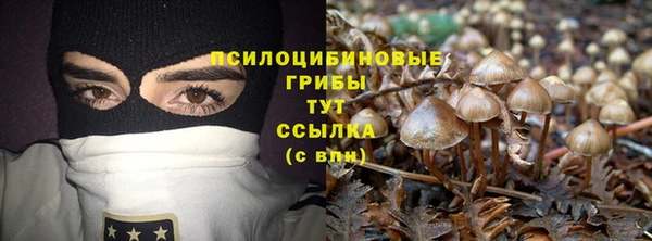 спиды Белоозёрский