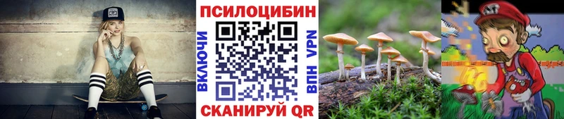 Псилоцибиновые грибы GOLDEN TEACHER  закладка  Меленки 